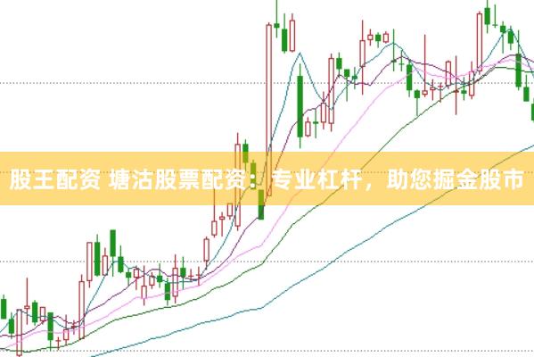 股王配资 塘沽股票配资：专业杠杆，助您掘金股市