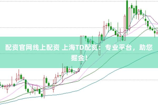 配资官网线上配资 上海TD配资：专业平台，助您掘金！