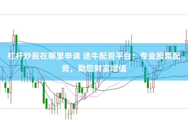 杠杆炒股在哪里申请 途牛配资平台:专业股票配资,助您财富增值