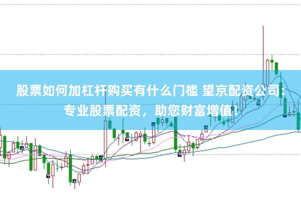股票如何加杠杆购买有什么门槛 望京配资公司：专业股票配资，助您财富增值！