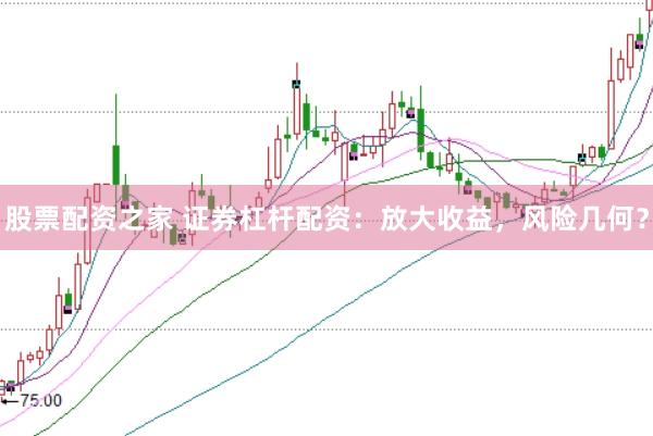 股票配资之家 证券杠杆配资：放大收益，风险几何？