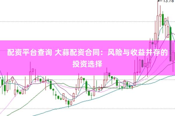 配资平台查询 大蒜配资合同:风险与收益并存的投资选择