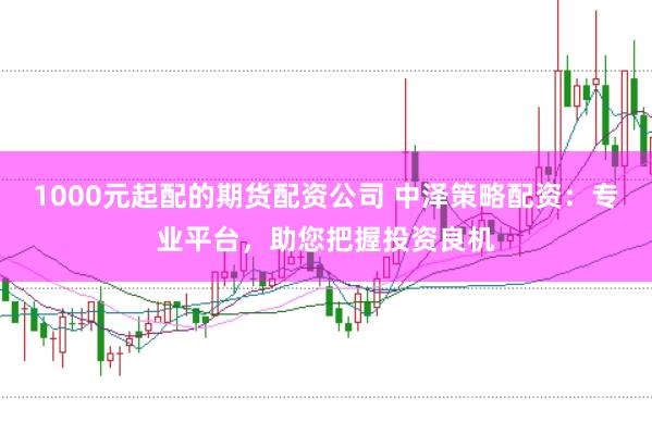 1000元起配的期货配资公司 中泽策略配资:专业平台,助您把握投资良机