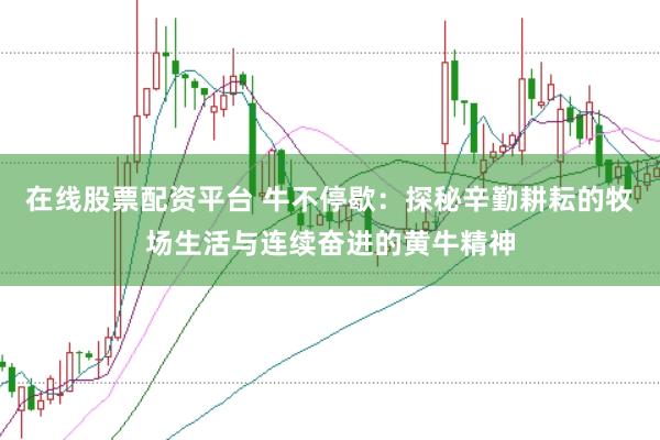 在线股票配资平台 牛不停歇：探秘辛勤耕耘的牧场生活与连续奋进的黄牛精神