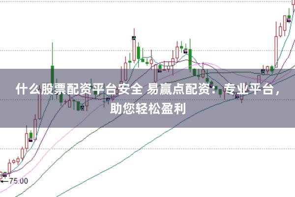 什么股票配资平台安全 易赢点配资：专业平台，助您轻松盈利