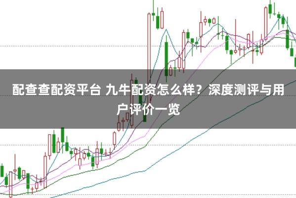 配查查配资平台 九牛配资怎么样？深度测评与用户评价一览