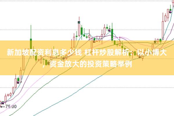 新加坡配资利息多少钱 杠杆炒股解析：以小博大，资金放大的投资策略举例