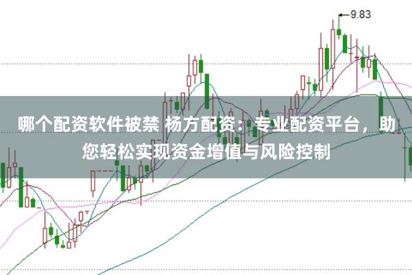 哪个配资软件被禁 杨方配资:专业配资平台,助您轻松实现资金增值与风险控制