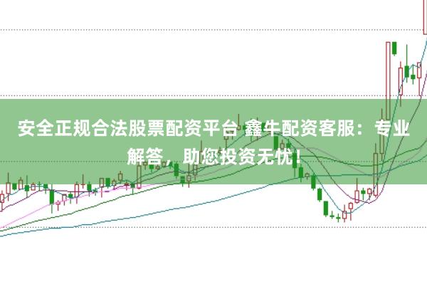 安全正规合法股票配资平台 鑫牛配资客服:专业解答,助您投资无忧!