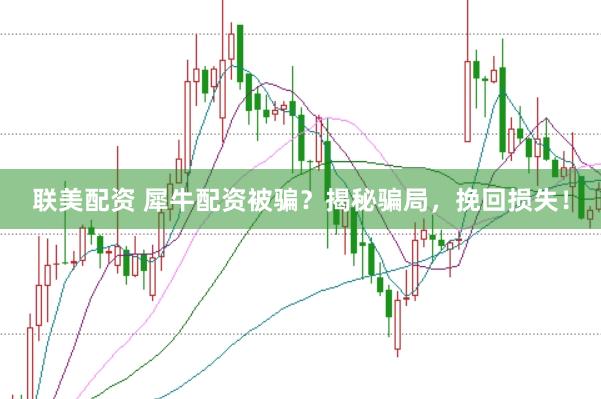 联美配资 犀牛配资被骗？揭秘骗局，挽回损失！