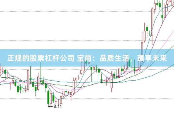 正规的股票杠杆公司 宝尚:品质生活,臻享未来