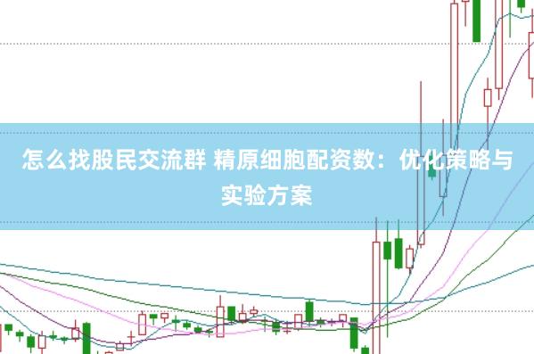 怎么找股民交流群 精原细胞配资数：优化策略与实验方案