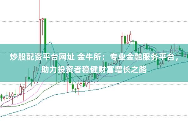 炒股配资平台网址 金牛所：专业金融服务平台，助力投资者稳健财富增长之路