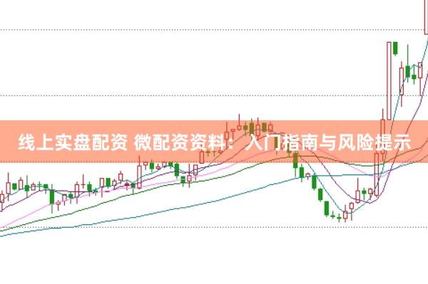 线上实盘配资 微配资资料：入门指南与风险提示