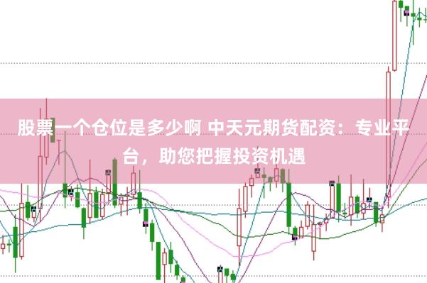 股票一个仓位是多少啊 中天元期货配资:专业平台,助您把握投资机遇