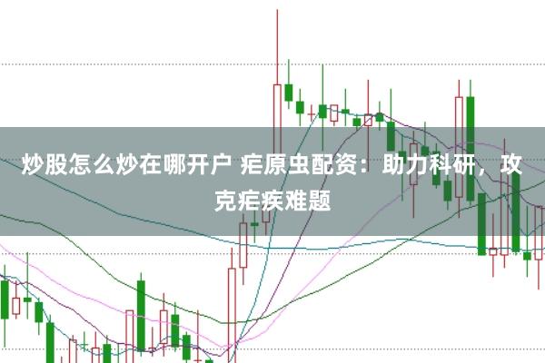 炒股怎么炒在哪开户 疟原虫配资：助力科研，攻克疟疾难题