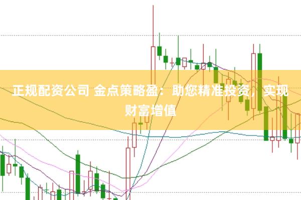 正规配资公司 金点策略盈:助您精准投资,实现财富增值